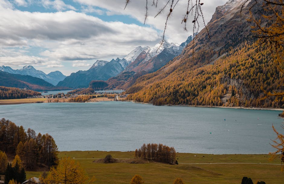 香港高爾夫球練習場的現狀與選擇分析