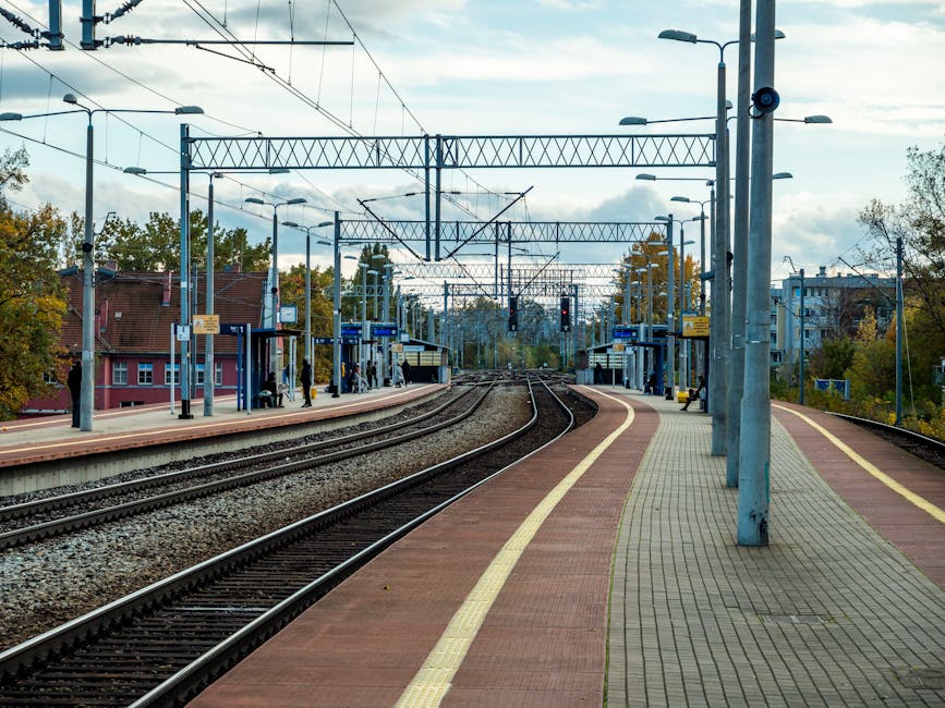 香港酒店自助餐：全面權威報告
