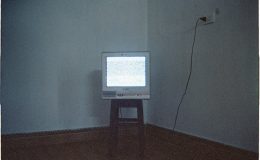 臍帶血的重要性及其深遠影響分析