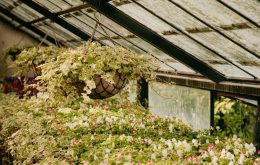 天台花園的設計與應用：一項分析